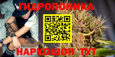 стаф Бузулук