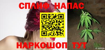 стаф Бузулук