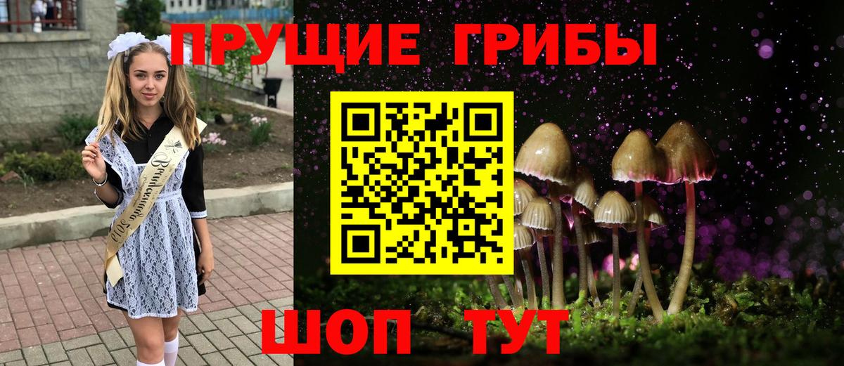 Псилоцибиновые грибы мухоморы Славгород