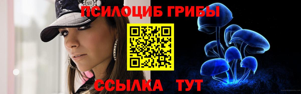 Славгород  Псилоцибиновые грибы Cubensis  дарнет шоп  Вход с VPN 